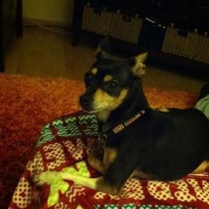 Meet your Posher, Lynn